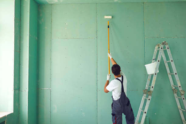 Reliable Fox Point, WI Mold Removal Solutions