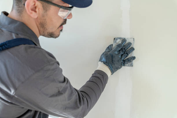 Best Mold Damage Restoration  in Fox Point, WI