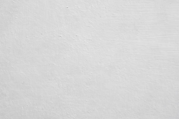 Best Basement Mold Removal  in Fox Point, WI