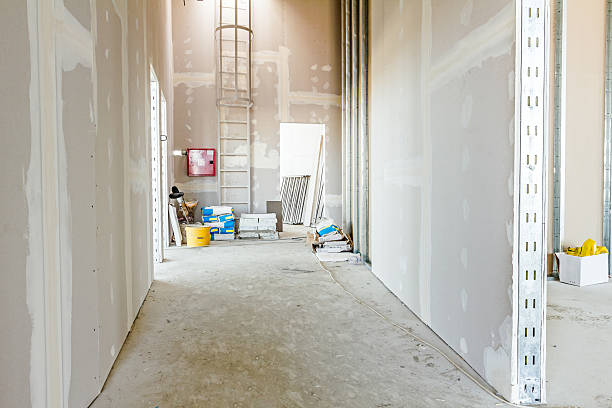 Best Mold Odor Removal Services  in Fox Point, WI