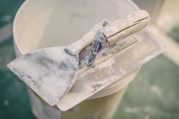 Best Attic Mold Removal  in Fox Point, WI